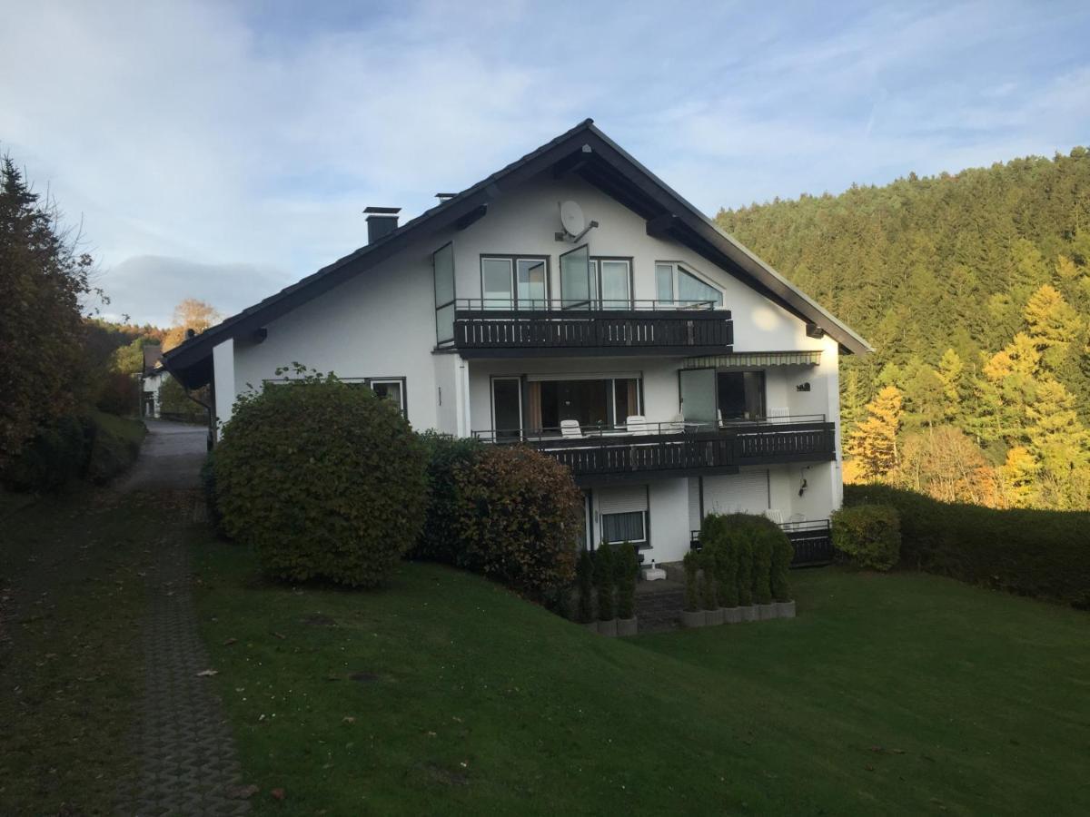 Ferienwohnungen Lang Willingen  Exterior photo