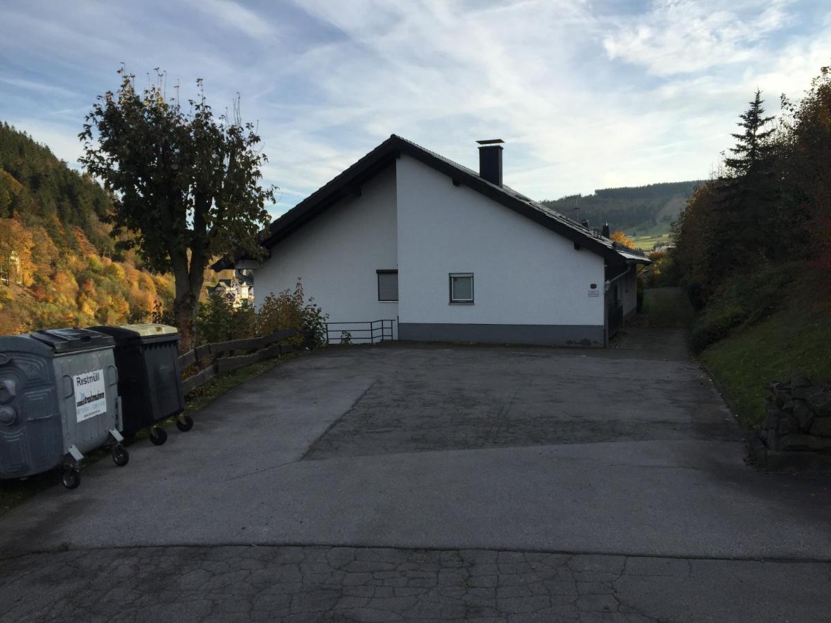 Ferienwohnungen Lang Willingen  Exterior photo