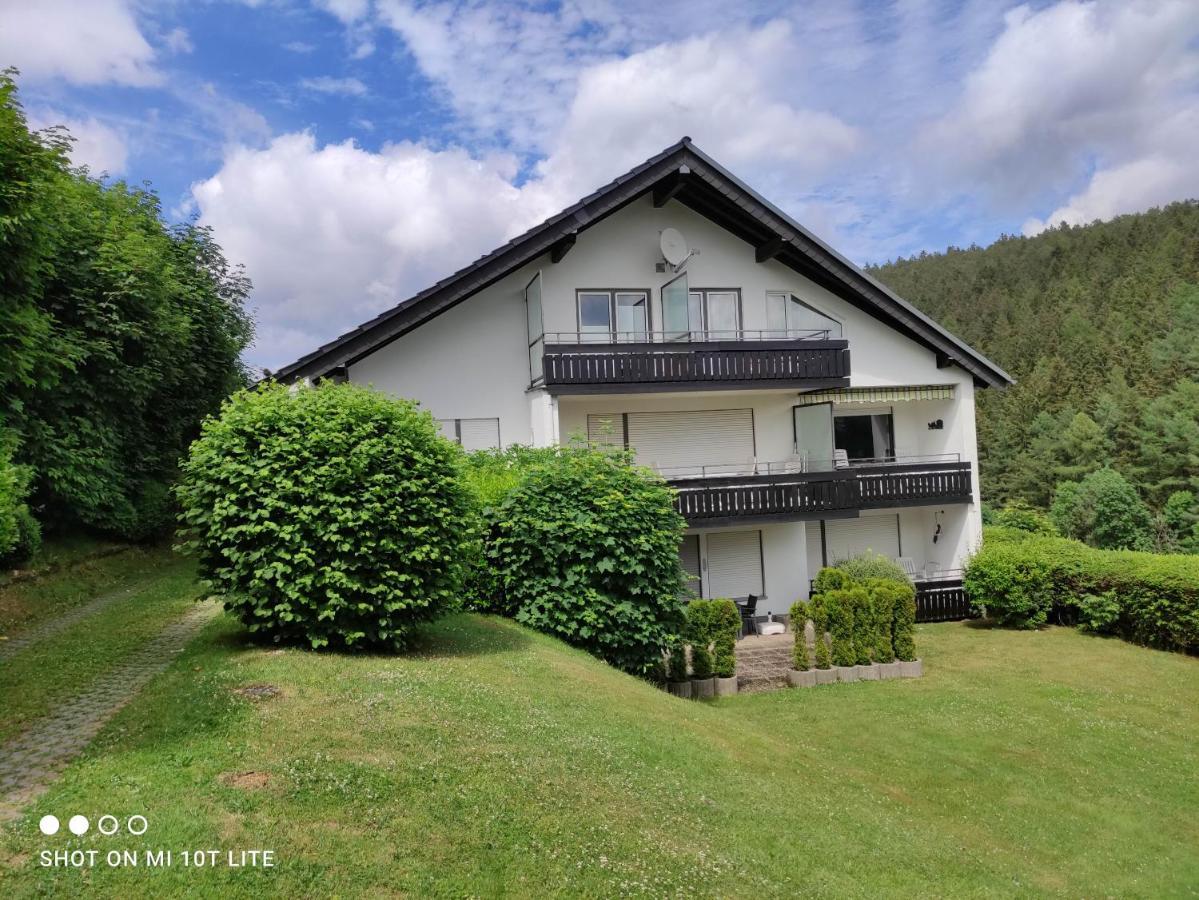 Ferienwohnungen Lang Willingen  Exterior photo